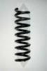 SPIDAN 85767 Coil Spring